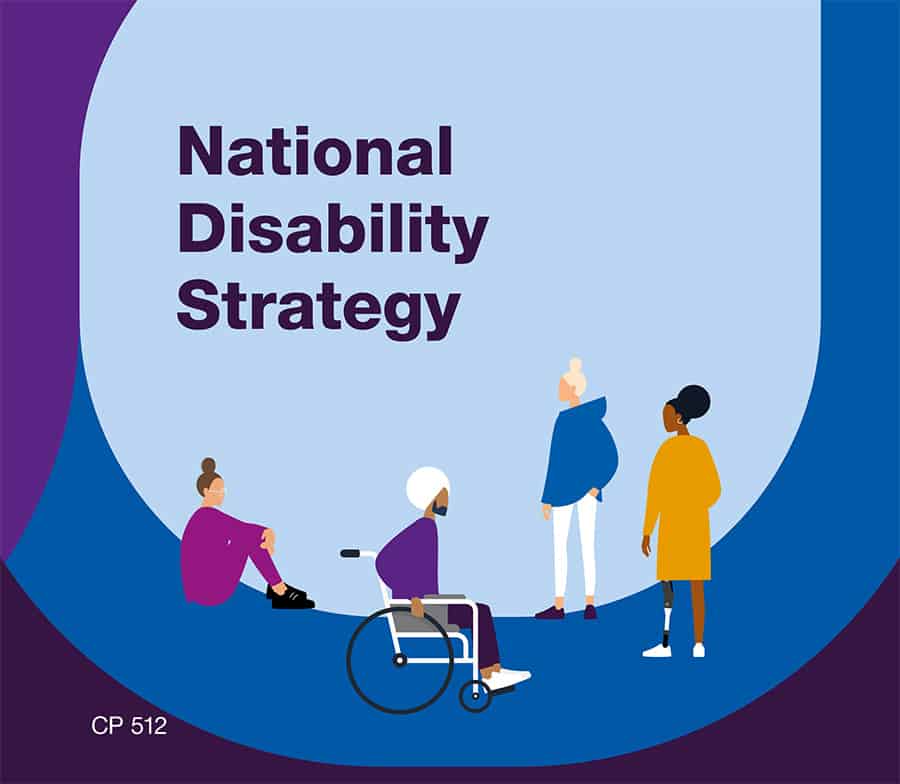 National Disability Strategy image