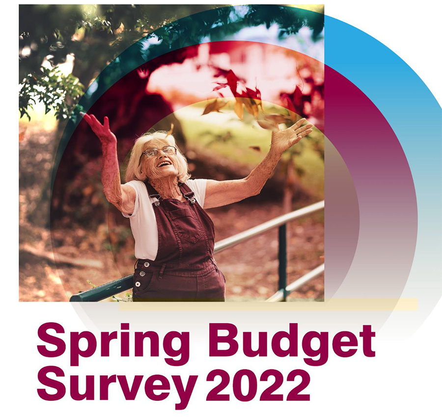 ADASS Spring Budget Survey 2022 image