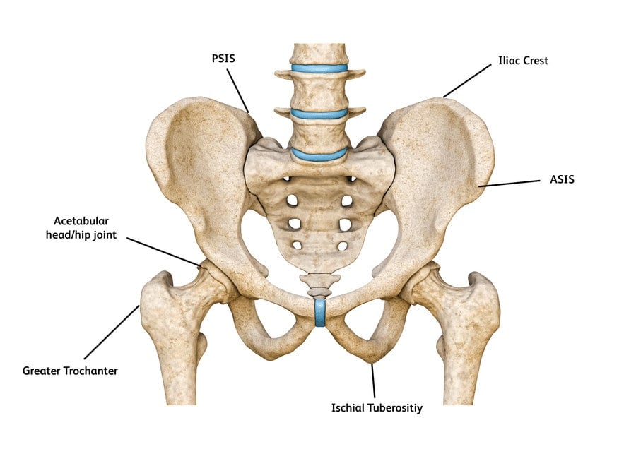 Let’s Get It Clear: Alternatives For Getting The Pelvis Under Control 